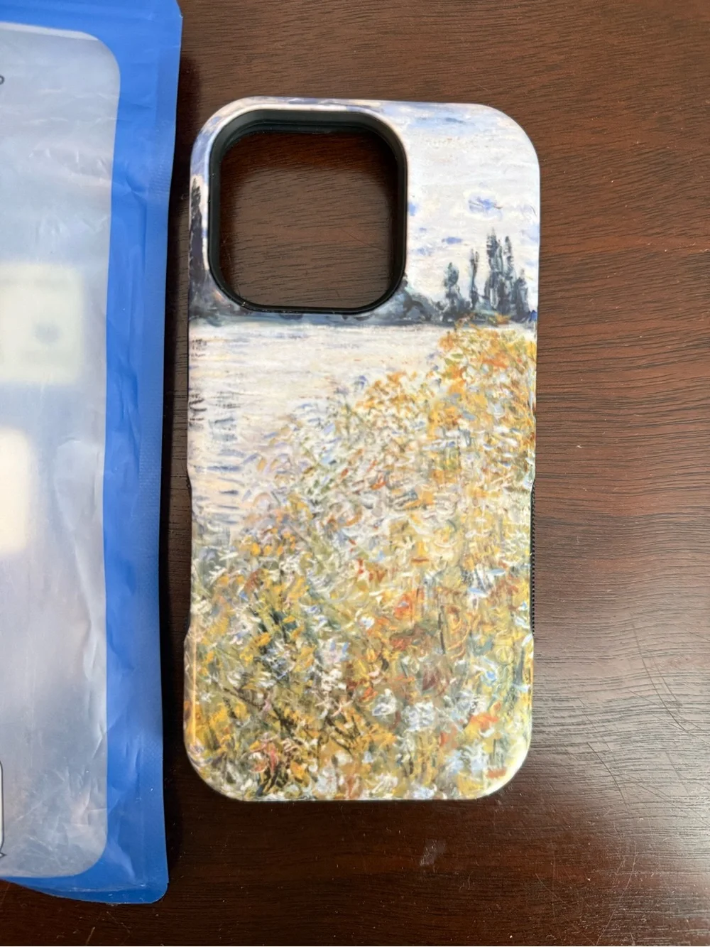 Casely Bold - Monet’s Summer Landscape (iPhone 16 pro)